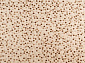 HERMITAGE beige