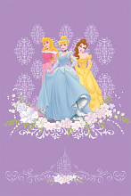 детский  PRINCESS 102