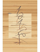 Ковер Premiera 0255 50635