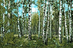 Ковер Родные просторы 0009 03   