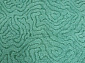 FLOWER VR02 CREAM