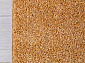 LANA T600 BEIGE 7