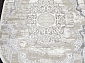 ALFANI Q018A GREY FDY / CREAM SHRINK Овал