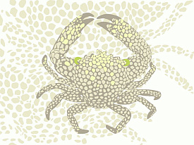 Детский ковер Морской Веселый Крабик