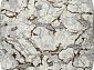 PALERMO F289 GRAY-GREEN Овал
