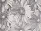 Valentino M008A D.GREY SHRINK / D.GREY