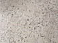 Jasmine 35981A CREAM / CREAM