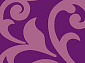 SUNRISE v809 VIOLET