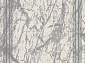 NORD F505 GRAY 2
