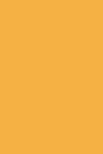 COMFORT SHAGGY 2 s600 ORANGE