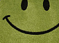 SMILE NC19 GREEN Круг