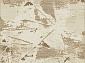 ATLAS F101 BEIGE