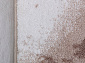 ALABAMA F177 LIGHT BEIGE