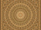 REGIUS1.2 IZYDA dark brown