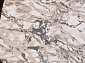 ARMINA-A 03819A GREY / BROWN Овал