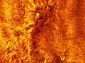 GANGA orange 