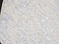 LIMAN F164 CREAM-BLUE Овал