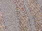 LIMAN F167 GRAY
