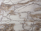 GRAFF 3270 GRAY-BEIGE