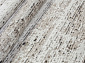 MAKSIMUS L042 BEIGE