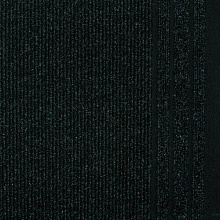 Грязезащитная ковровая дорожка REKORD 866 черный