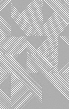 BRIZ F660 GRAY