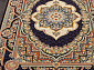 SHIRAZ Golasa BROWN