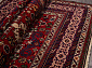 Azerkhalcha QUBA 560