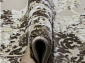 AMASYA 9020A BEIGE / L.BROWN