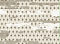 Ковровая Дорожка FLORA 9567B L.VIZON / L.VIZON