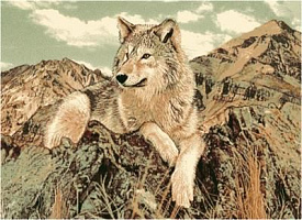 Фауна 50523 Волк