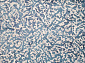 MOROCCO F013 BEIGE-BLUE