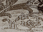 QUANTUM 03011B BROWN / BROWN Овал
