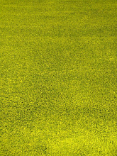 Ковер KEOPS SHAGGY B1006C GREEN / GREEN