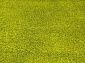 KEOPS SHAGGY B1006C GREEN / GREEN