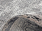 LOUVRE V01 BLACK