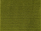 LANA T600 GREEN 2