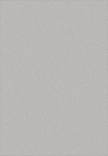 Ковер OMAN S161 LIGHT GRAY