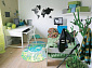 ОВАЛЬНЫЙ ковер для детей MICROFLOR 3071c