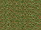 LAGUNA CS03 GREEN