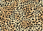 VALENCIA d107 BEIGE Овал