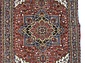 дагестанский Хериз brown kant