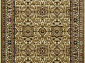 OLYMPOS D868 CREAM
