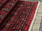 BELUCHI 61404 1616 V