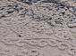SALVATORE 0821B A.GRI / A.GRI