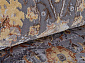 Ковровая Дорожка QUARES 31464 975 GREY GOLD