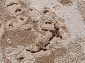 DOLCE F204 BEIGE