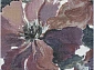 с цветами ARGENTUM 63834 6626