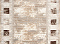 NESTA 26930A BEJ / TOZ GRI