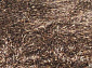 SWITZERLAND  brown 